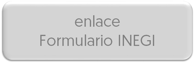 formulario inegi